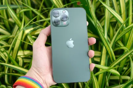 QuinnBet Casino Application mobile